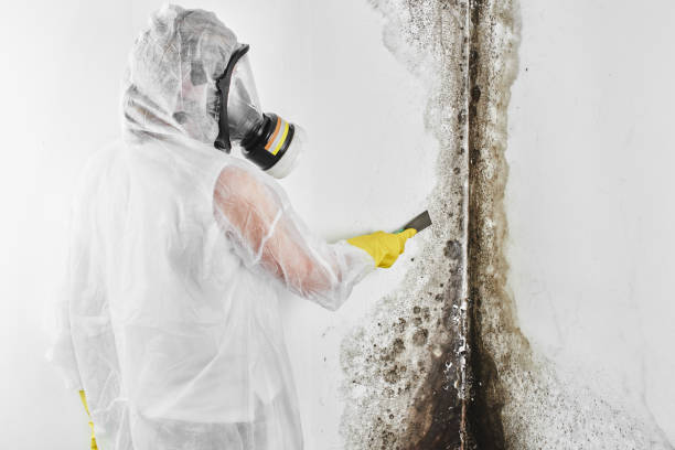 Crawl Space Mold Removal in Brandywine Bay, NC