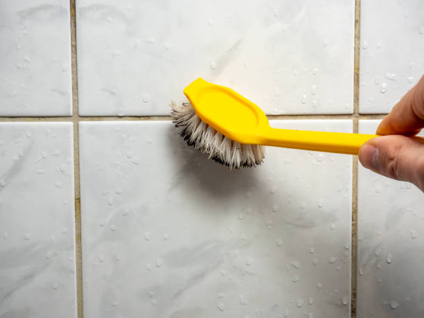 Best Attic Mold Removal  in Brandywine Bay, NC
