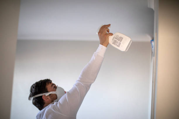 Best Mold Testing  in Brandywine Bay, NC