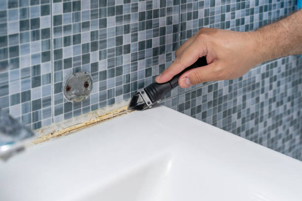 Best Mold Testing  in Brandywine Bay, NC