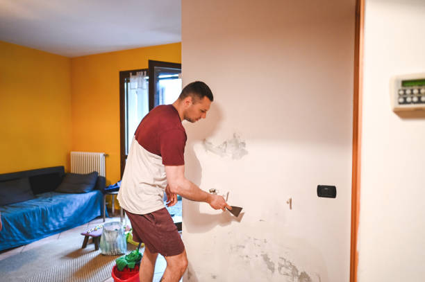 Best Water Damage Restoration  in Brandywine Bay, NC
